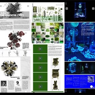 cafa展覽丨多維視角檢視人類問題 2020 危機時刻的策展