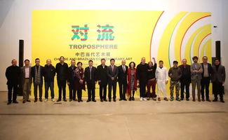 對流 中巴當代藝術展 12月9日盛大舉行