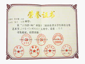 山東工藝美術學院學生在 聯通沃 3g 杯第十二屆山東省大學生科技文化藝術節 山東省大學生建筑設 山東工藝美術學院 shandong university of art design