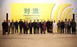 對流 中巴當代藝術展 亮相北京民生現代美術館