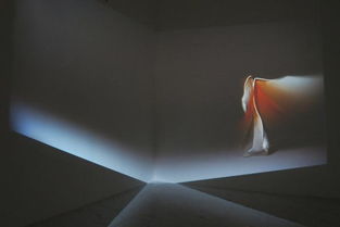 展覽 后生命 在上海展出一個月,集中呈現(xiàn)媒體藝術家作品