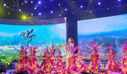 “六祖故里,禪茶飄香”云浮·新興禪茶旅游文化交流大會昨晚開幕