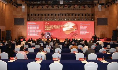 陜西中國西部發(fā)展研究中心絲路影像藝術(shù)研究院成立