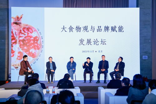 北京設計與藝術博覽會今日盛大啟幕,煥美京城初冬
