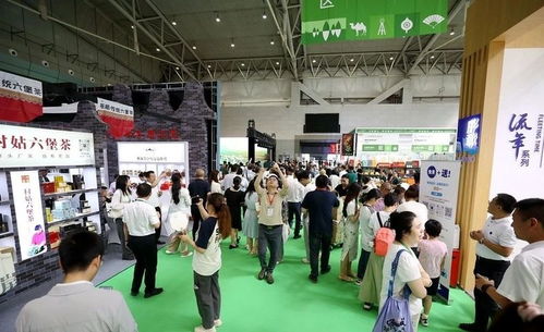 2024新疆國際茶文化博覽會 讀懂茶香里的文化自信